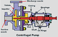 Pumps & Seals
